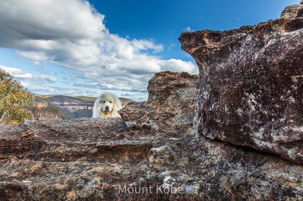 Prints - Peekaboo at Tucker's Lookout