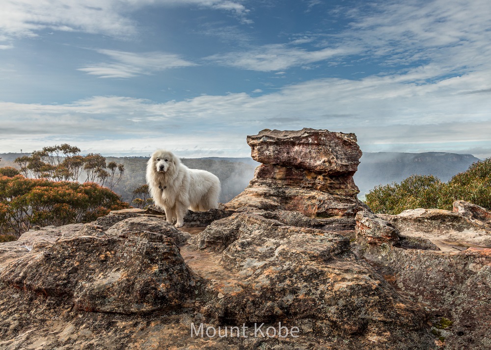 Prints - Misty Morning at Pulpit Rock