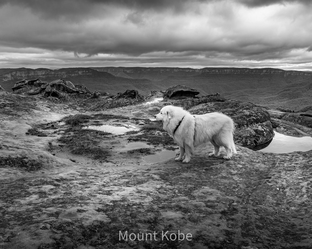 Prints - Monochrome Monday 1