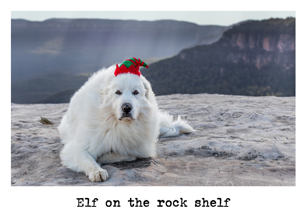 Cards (Xmas) - Elf