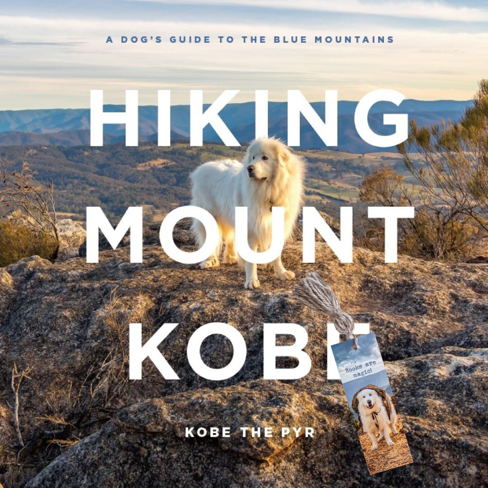 Book and bookmark bundle (HMK)