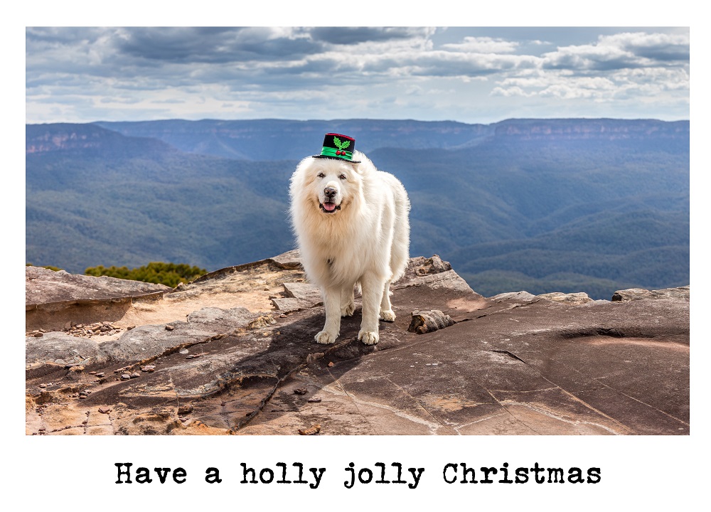 Cards (Xmas) - Small cards pack - Image 7