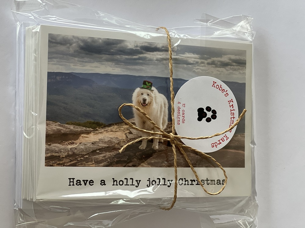 Cards (Xmas) - Small cards pack