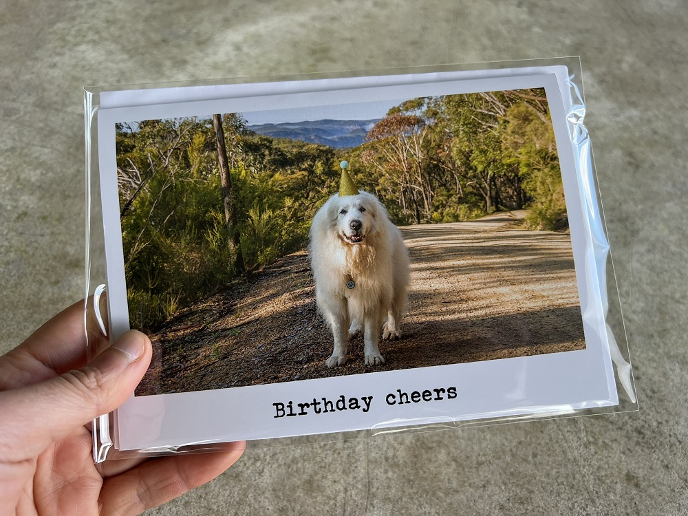 Cards - Birthday - Image 2