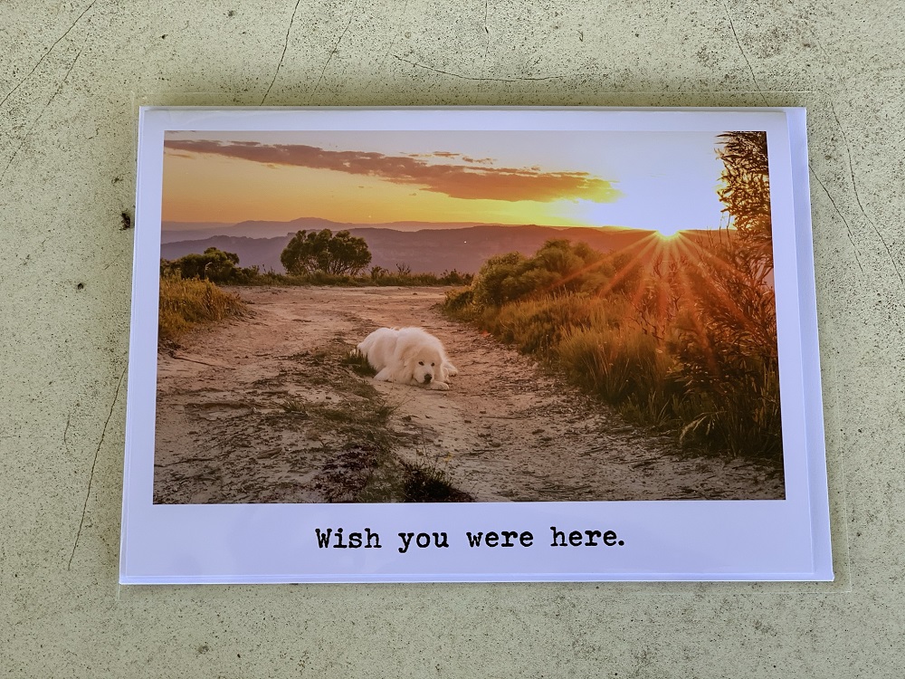 Cards - Wish you were here - Image 3