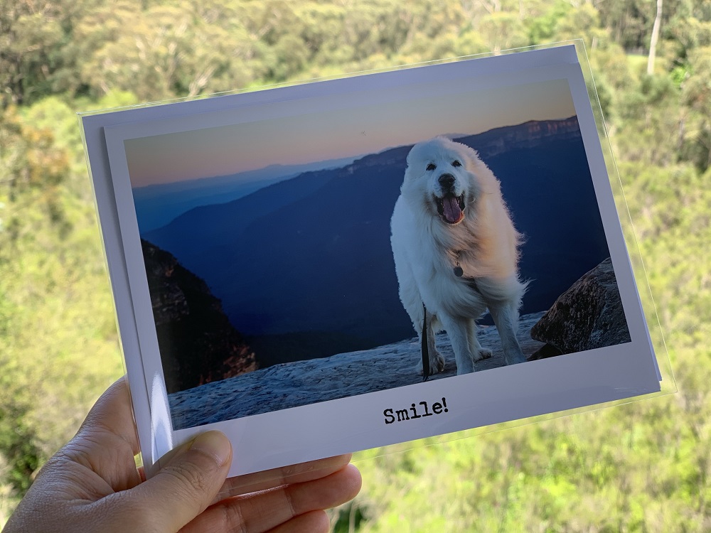 Cards - Smile - Image 2