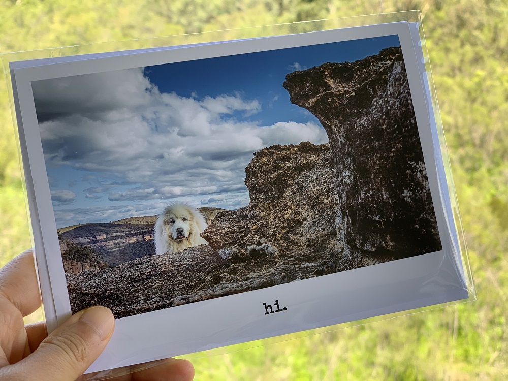 Cards - Hi 1 - Image 2