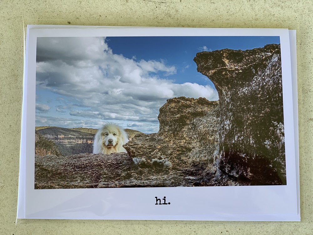 Cards - Hi 1 - Image 3