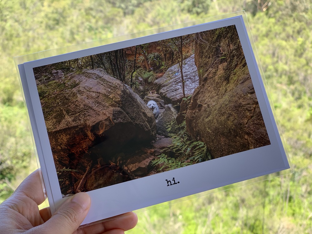 Cards - Hi 2 - Image 2