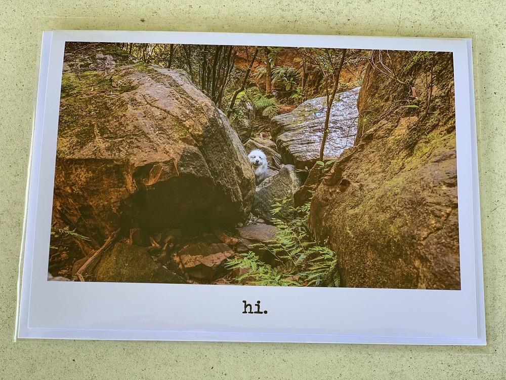 Cards - Hi 2 - Image 3