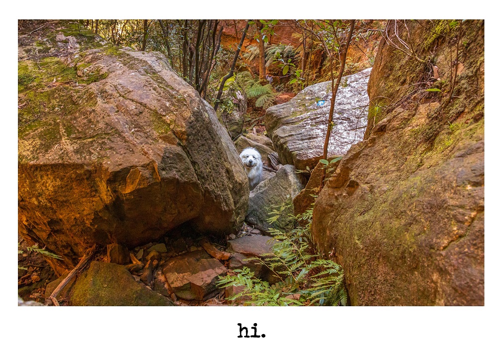 Cards - Hi 2
