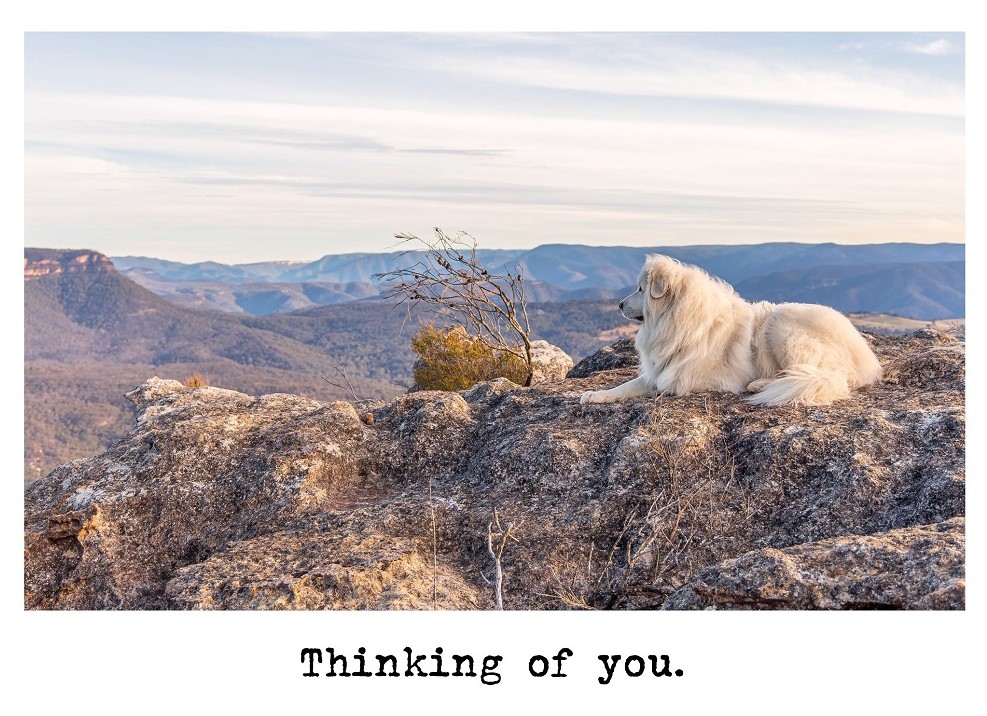 Cards - Thinking of you