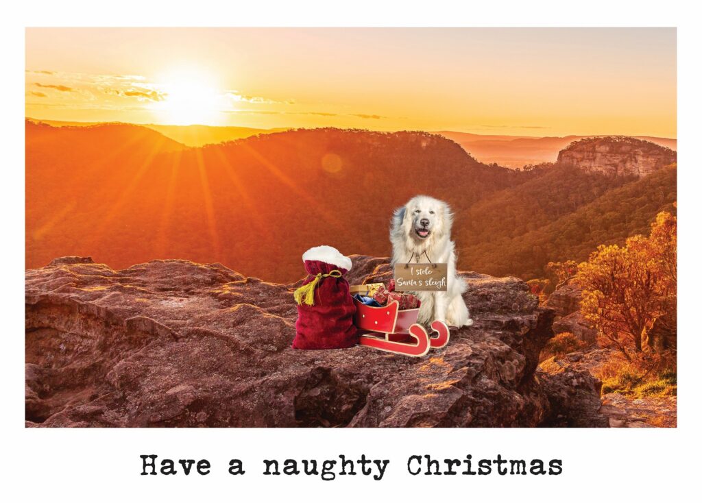Cards (Xmas) - Sleigh