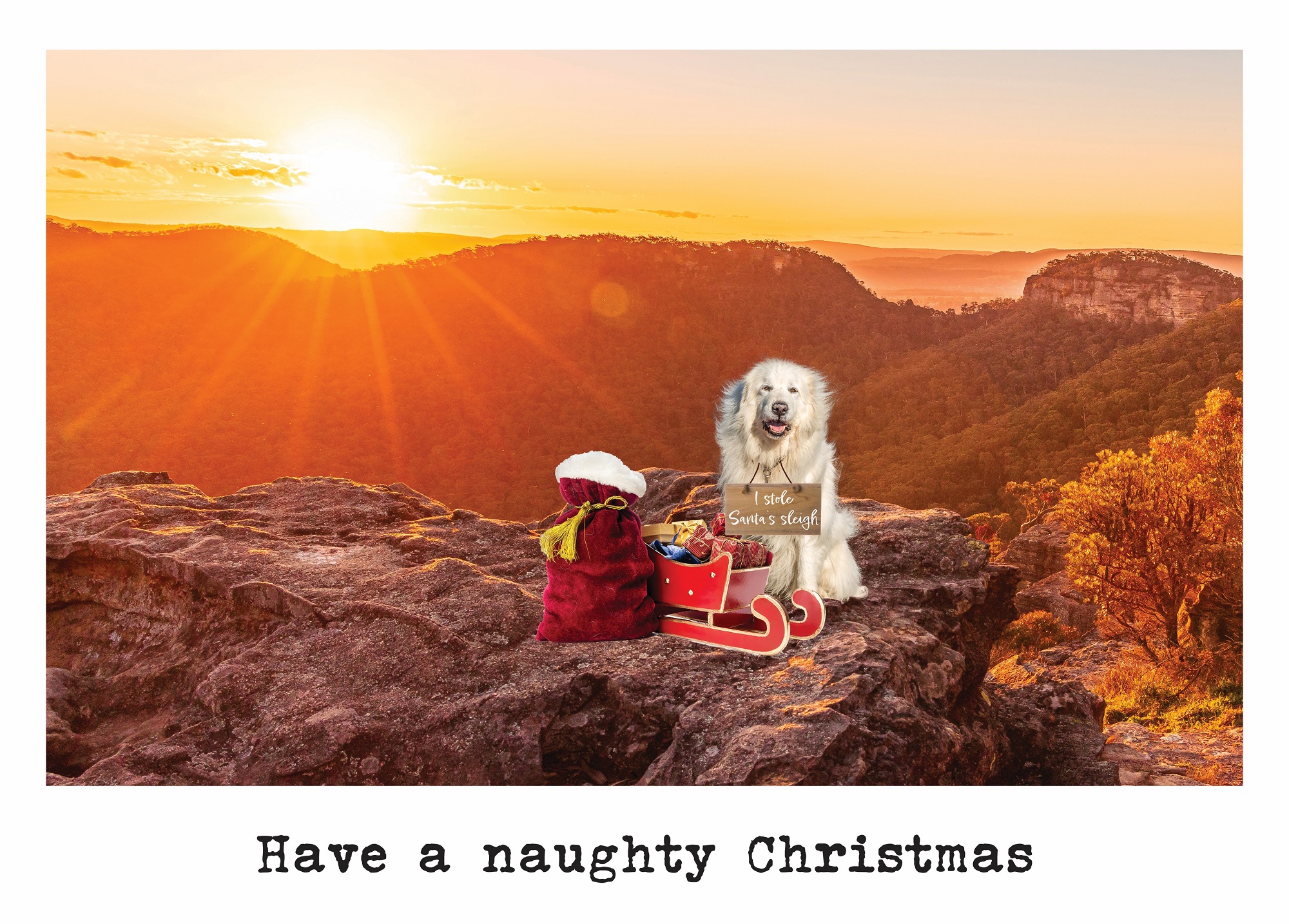 Cards (Xmas) - Sleigh