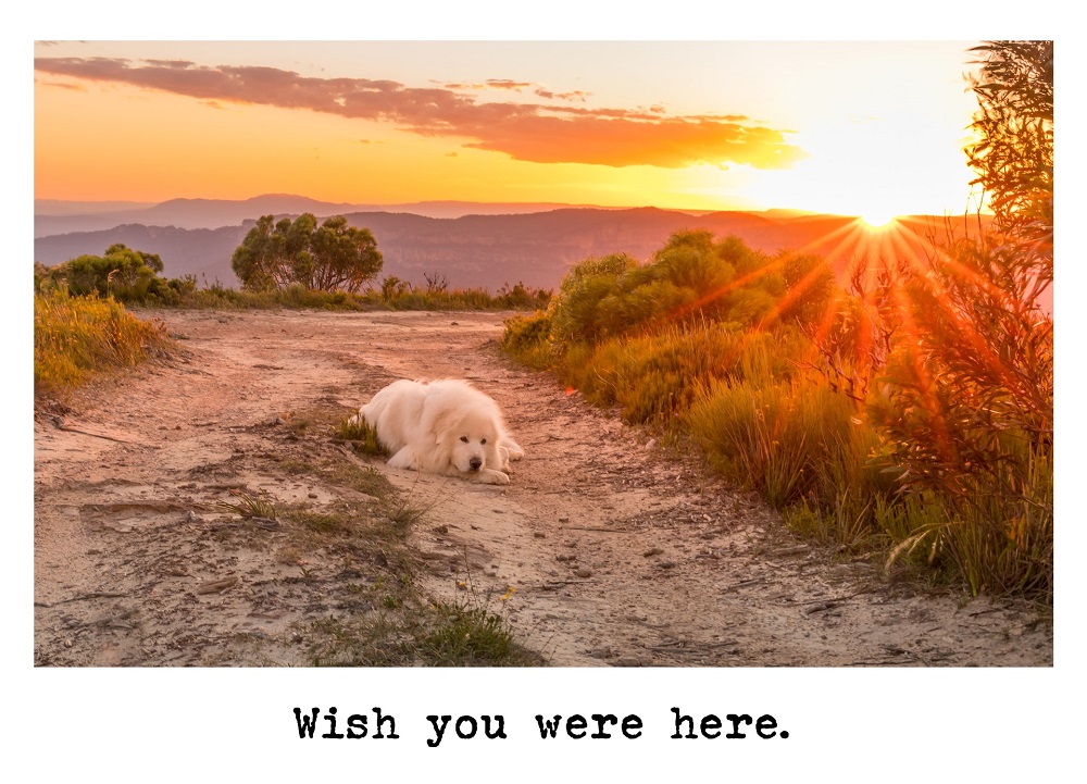 Cards - Wish you were here