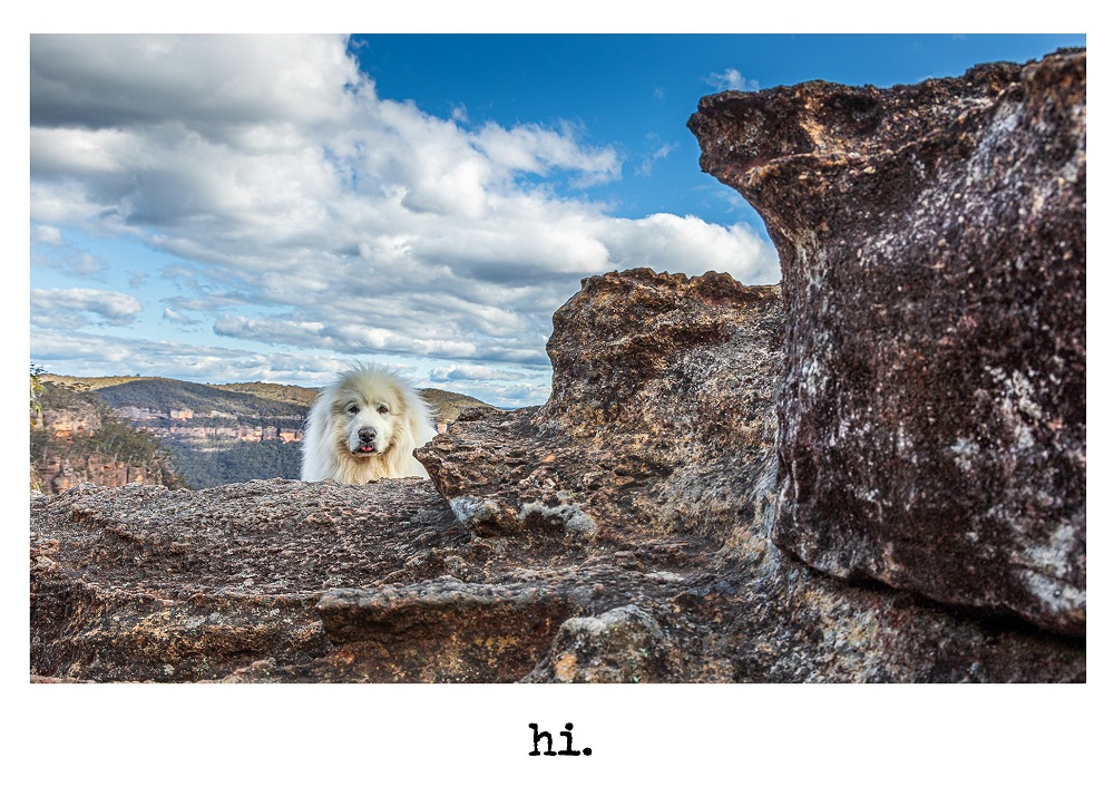 Cards - Hi 1